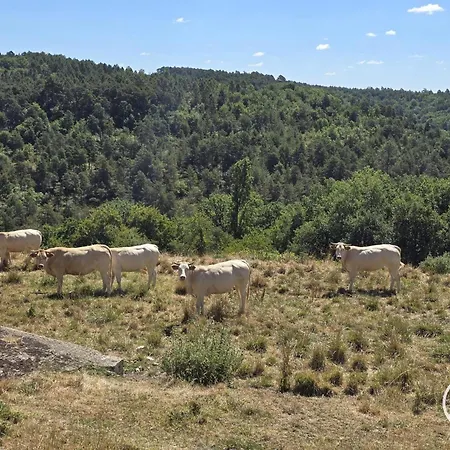 Casa vacanze Grand Avec Parking, Animaux Ok - 10 Pers. - Fr-1-616-596 Bars (Dordogne)